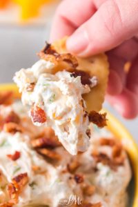 5 Minute Million Dollar Dip Recipe (aka Neiman Marcus Cheese Dip), this easy dip recipe is loaded with flavor and is super simple to make!