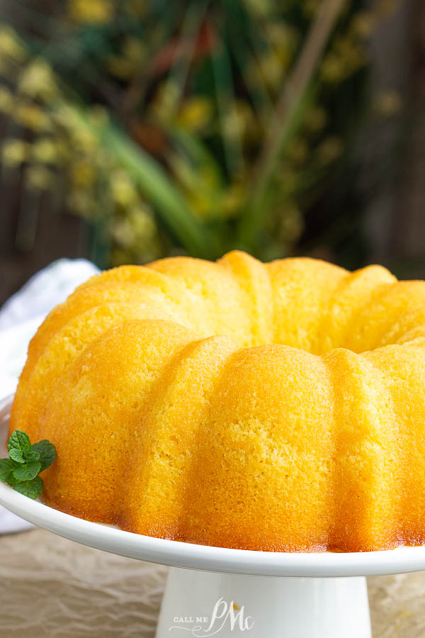 Potluck Orange Juice Bundt Cake