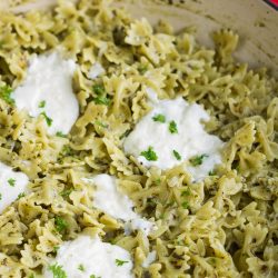 Pesto Past