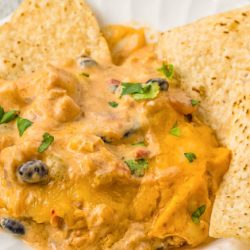 Chicken Enchilada Dip with Rotel is a creamy, cheesy, super tasty crowd pleaser! Enjoy it as a dip or layer it with nacho chips or tortillas for a delicious enchilada or burrito casserole! #enchiladas #dip #chickendip #chicken #recipe
