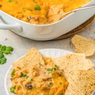 CHICKEN ENCHILADA DIP WITH ROTEL