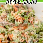 Quick and Creamy Broccoli Apple Salad Recipe (aka Broccoli Waldorf Salad) is a delicious mix of sweet, tangy, crunchy, and creamy. It is brimming with broccoli, apples, carrots, cranberries, walnuts, and a creamy yogurt mayo dressing.
