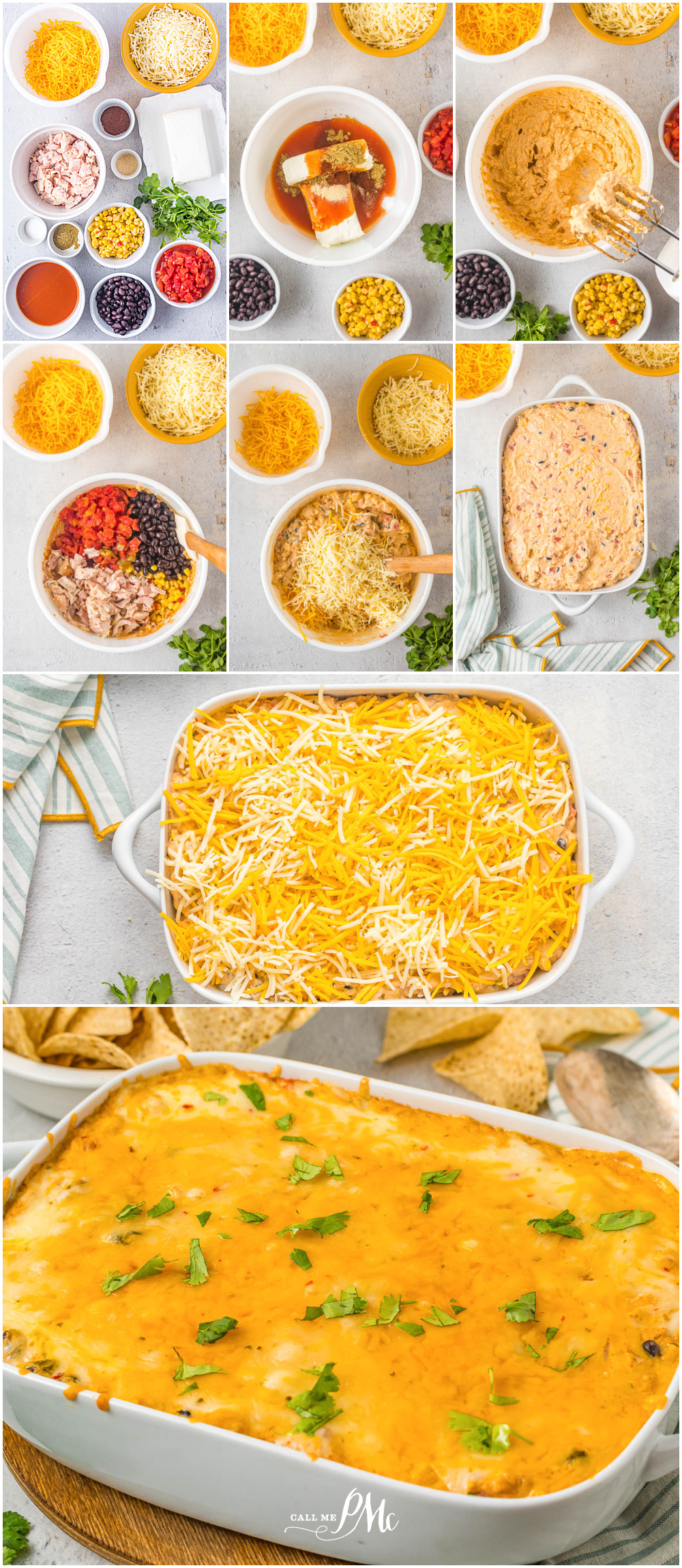 Chicken Enchilada Dip