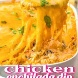 Chicken Enchilada Dip with Rotel is a creamy, cheesy, super tasty crowd pleaser! Enjoy it as a dip or layer it with nacho chips or tortillas for a delicious enchilada or burrito casserole! #enchiladas #dip #chickendip #chicken #recipe
