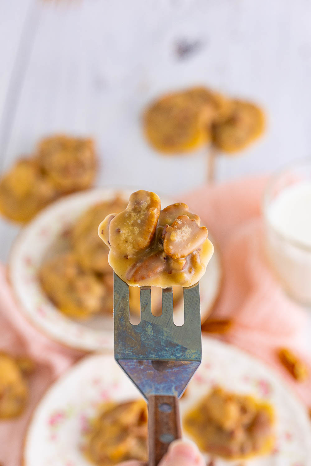 Southern Pecan Praline