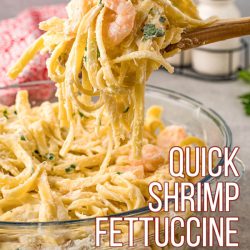 Quick Shrimp Fettuccine Alfredo is a quick meal packed with tender shrimp in a creamy sauce that clings perfectly to the fettuccine pasta. #pasta #shrimp #alfredo #30minutemeal #familydinner
