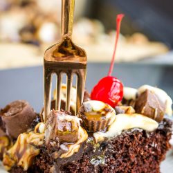 fork sticking into slice of dry chocolate cake