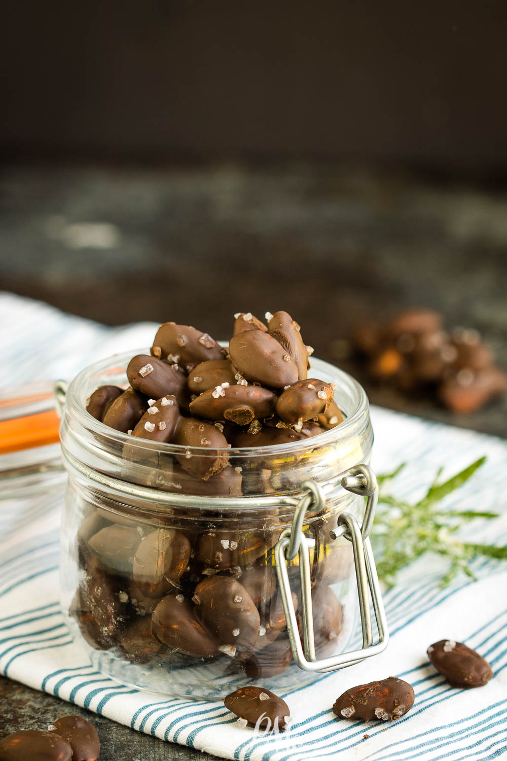 Dark Chocolate Salted Almonds 