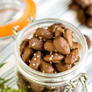 DARK CHOCOLATE SALTED ALMONDS