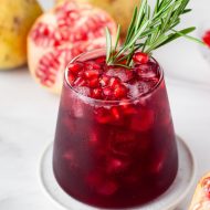 HIBISCUS POMEGRANATE MARGARITA