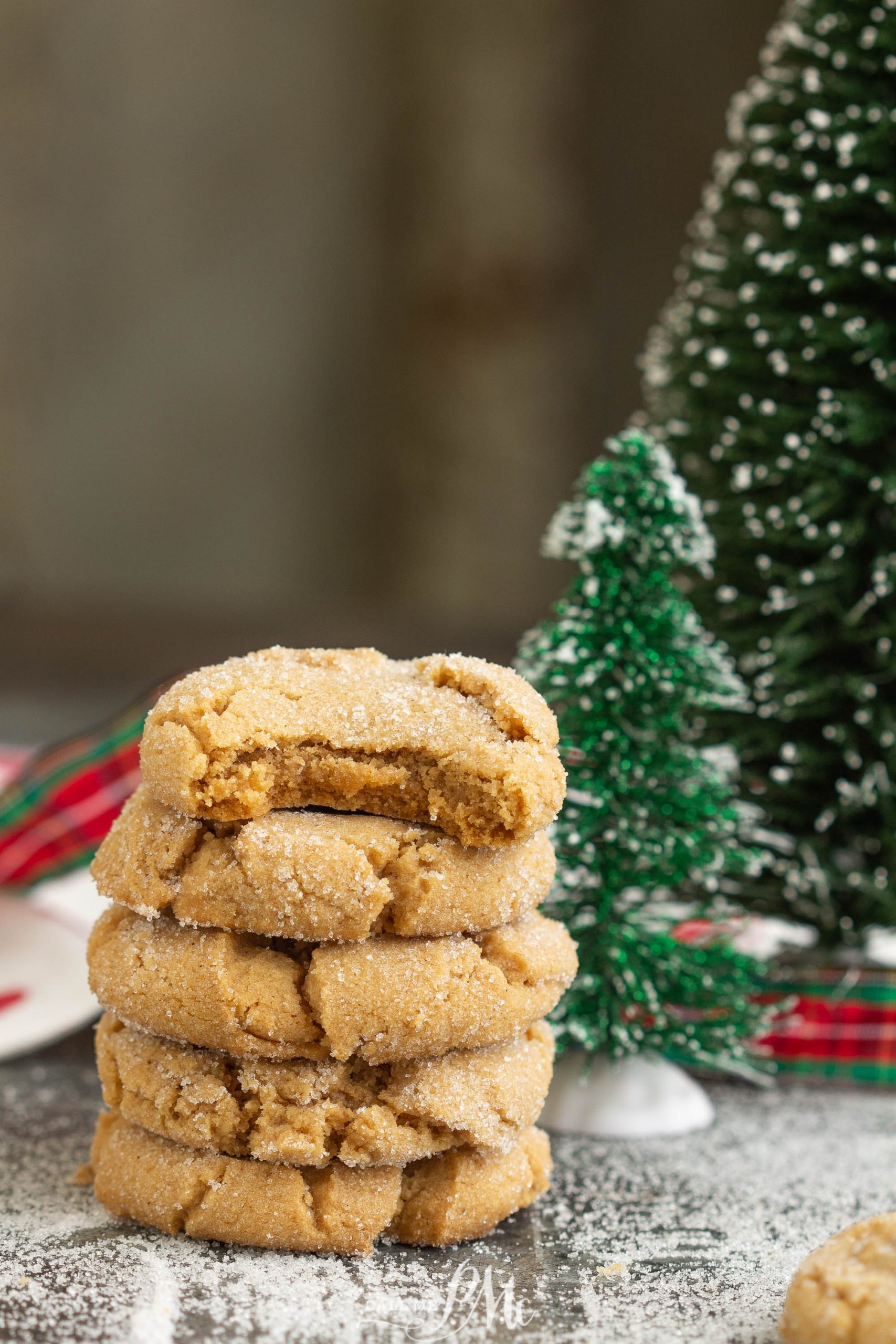  BISCOFF SNICKERDOODLES