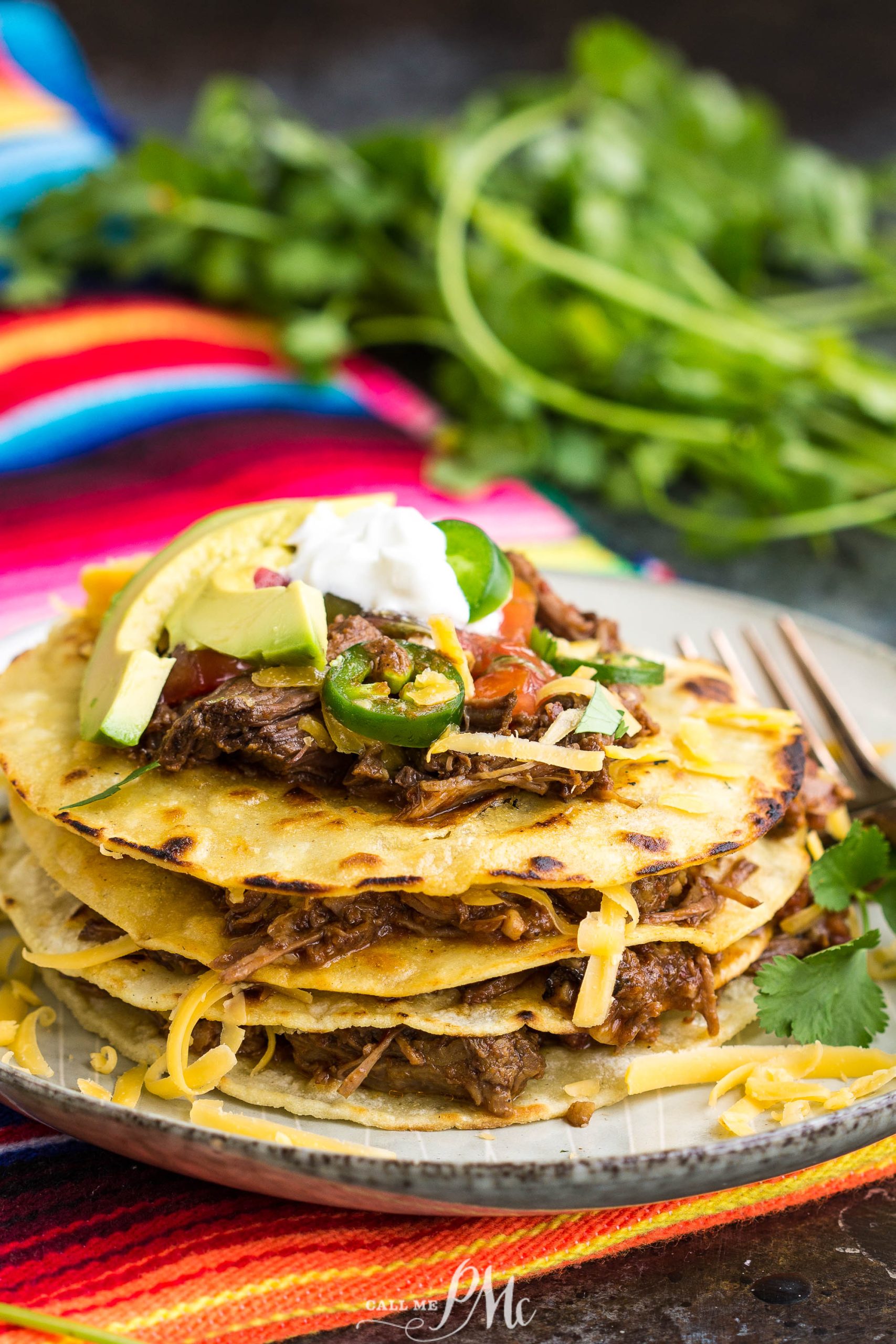 Beef Birria Stack 