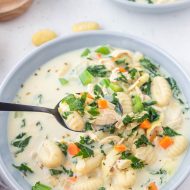 CHICKEN GNOCCHI SOUP RECIPE