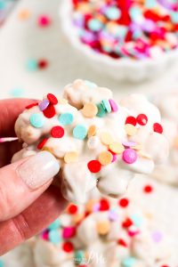 SALTY SWEET CROCKPOT CANDY