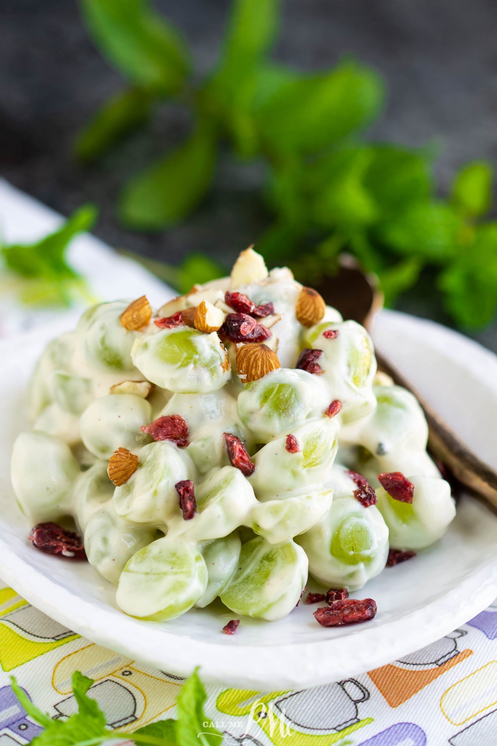 Greek Grape Salad with Protein