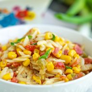 Tex Mex Orzo Recipe