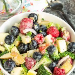 Berry Salad with Sweet Vidalia Onion Dressing.