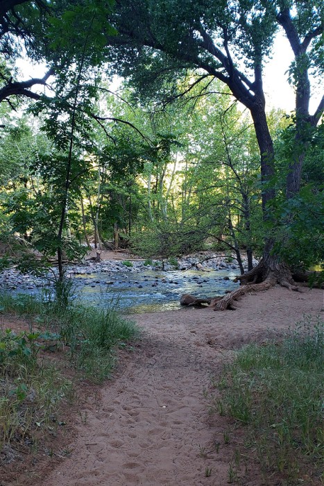 Creek at the base of Cathedral rock off Baldwin trail. beginner's guide to Sedona