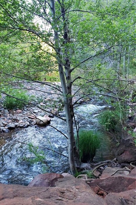 Creek at the base of Cathedral rock off Baldwin trail. beginner's guide to Sedona