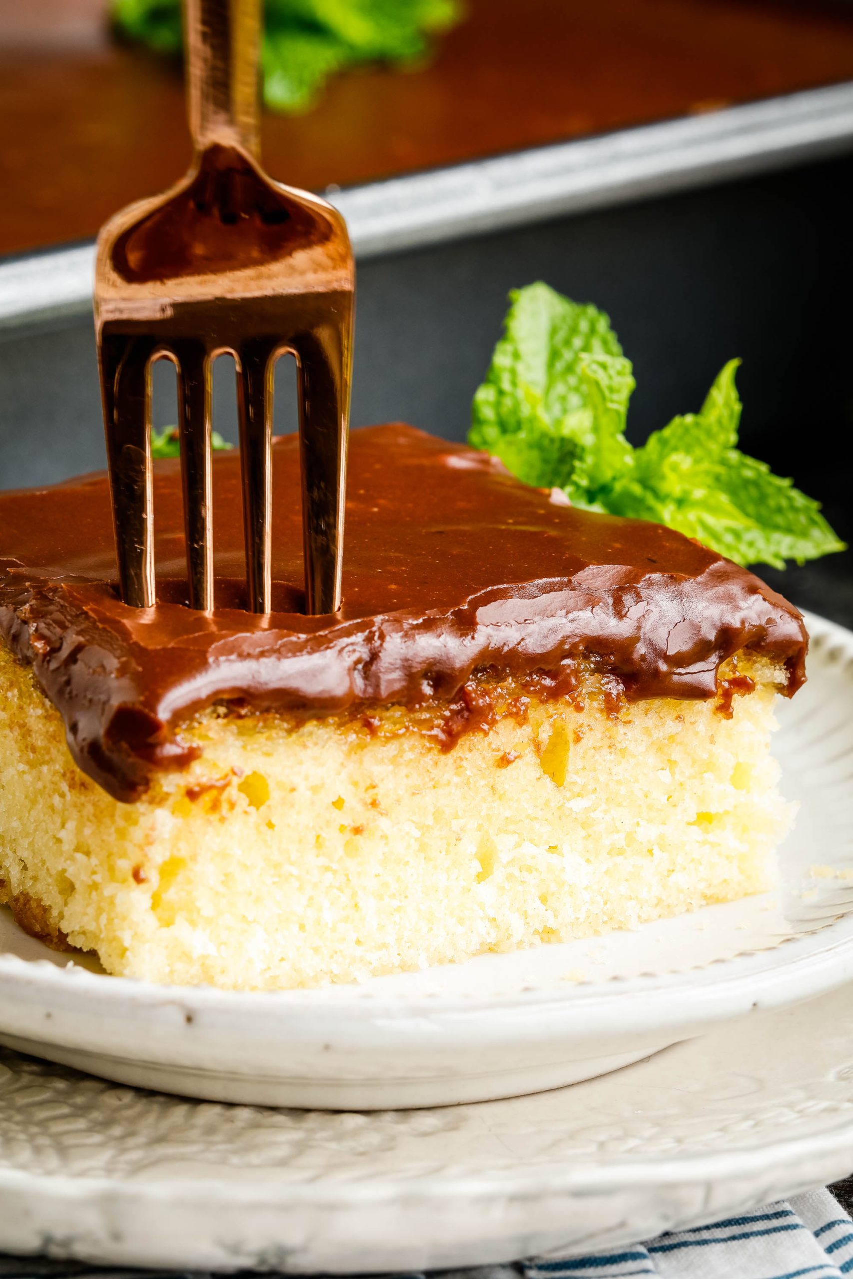 Slice of cake on saucer.