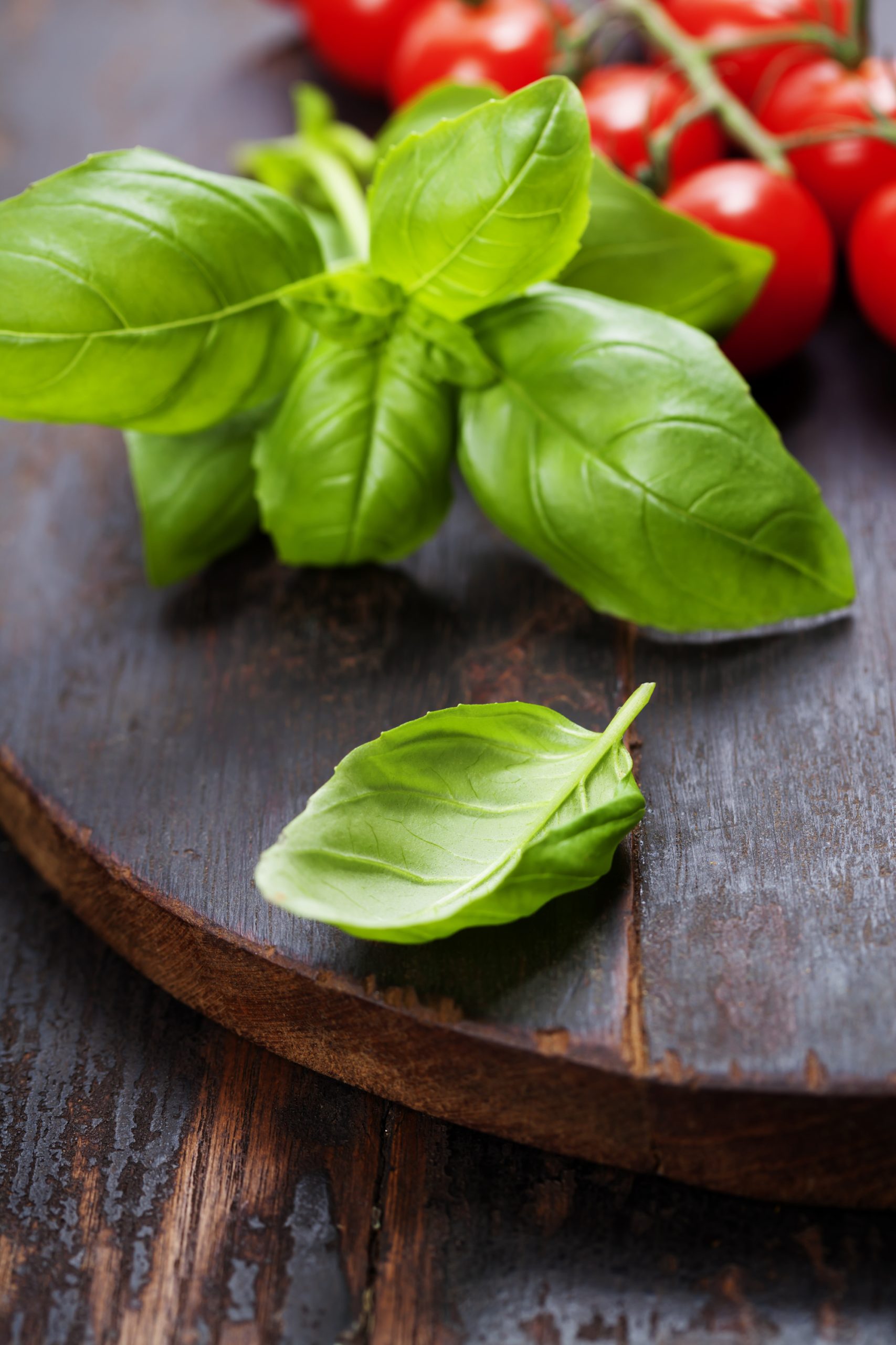 How to prep, cook and store fresh basil.