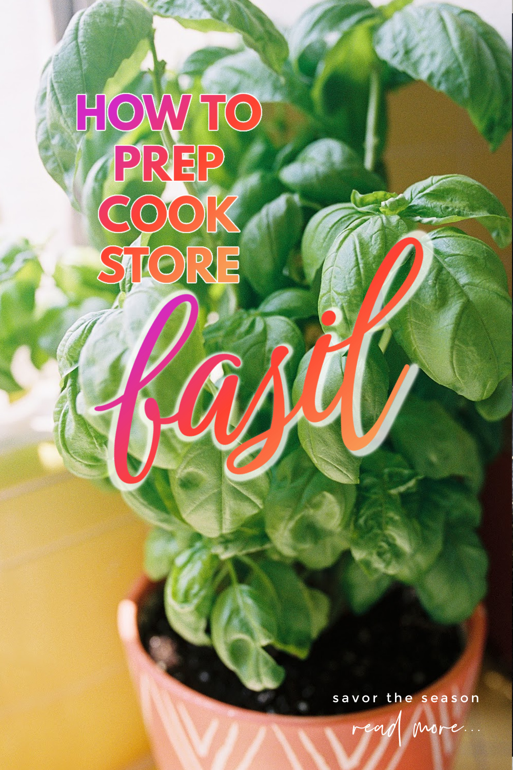 Pot with basil plant and overlay label.