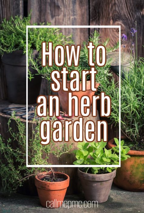 How to Start an Herb Garden