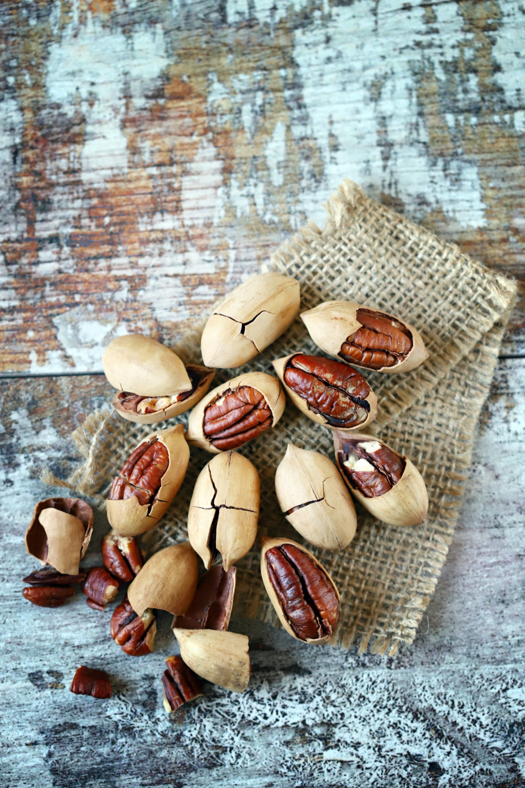 Pecans cracked and in shells on table.