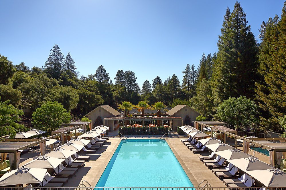 Stay in Napa. A pool with lounge chairs and trees surrounding it at Meadowood Napa Valley