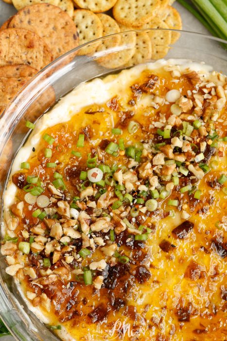 A bowl of Thunder Cheddar Cheese Dip with crackers and green onions.