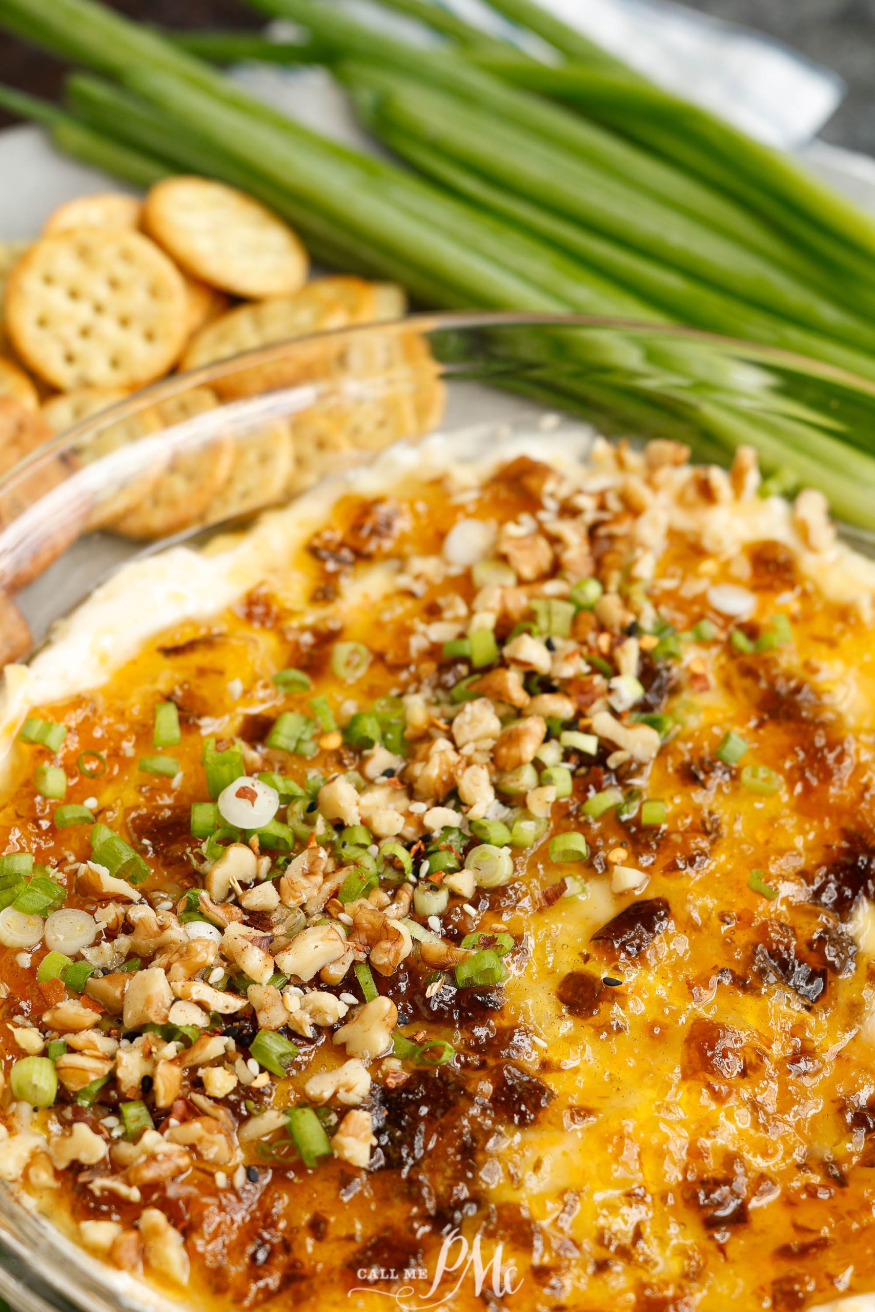 A bowl of dip with crackers and green onions.