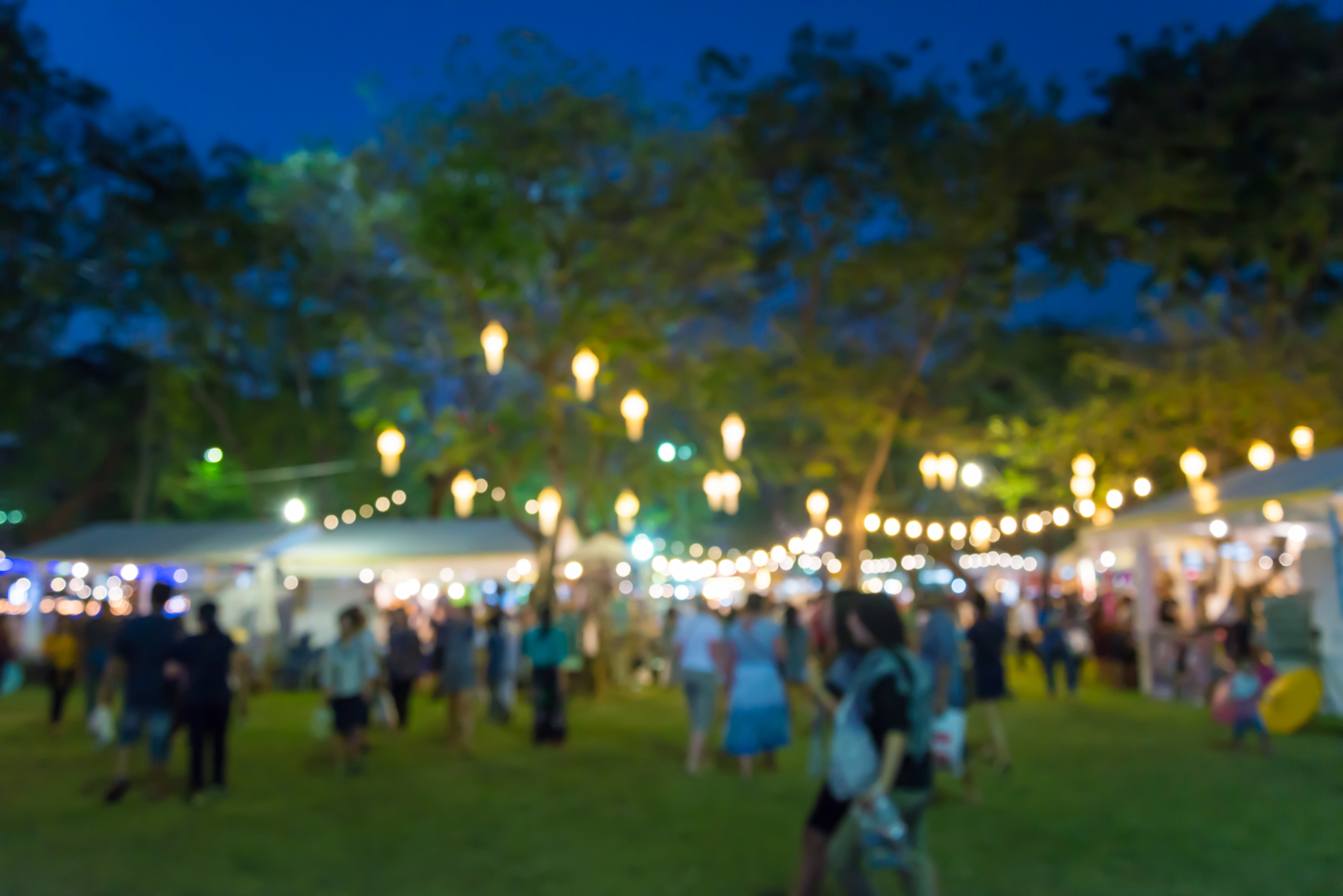Party Planning Guide , A blurry image of people at a festival.