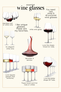 A selection of the best wine glasses and a decanter, each labeled with its intended use, shape, and suitability for red, white, or all-purpose wine drinking.