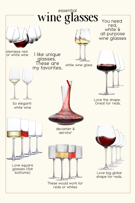 A selection of the best wine glasses and a decanter, each labeled with its intended use, shape, and suitability for red, white, or all-purpose wine drinking.