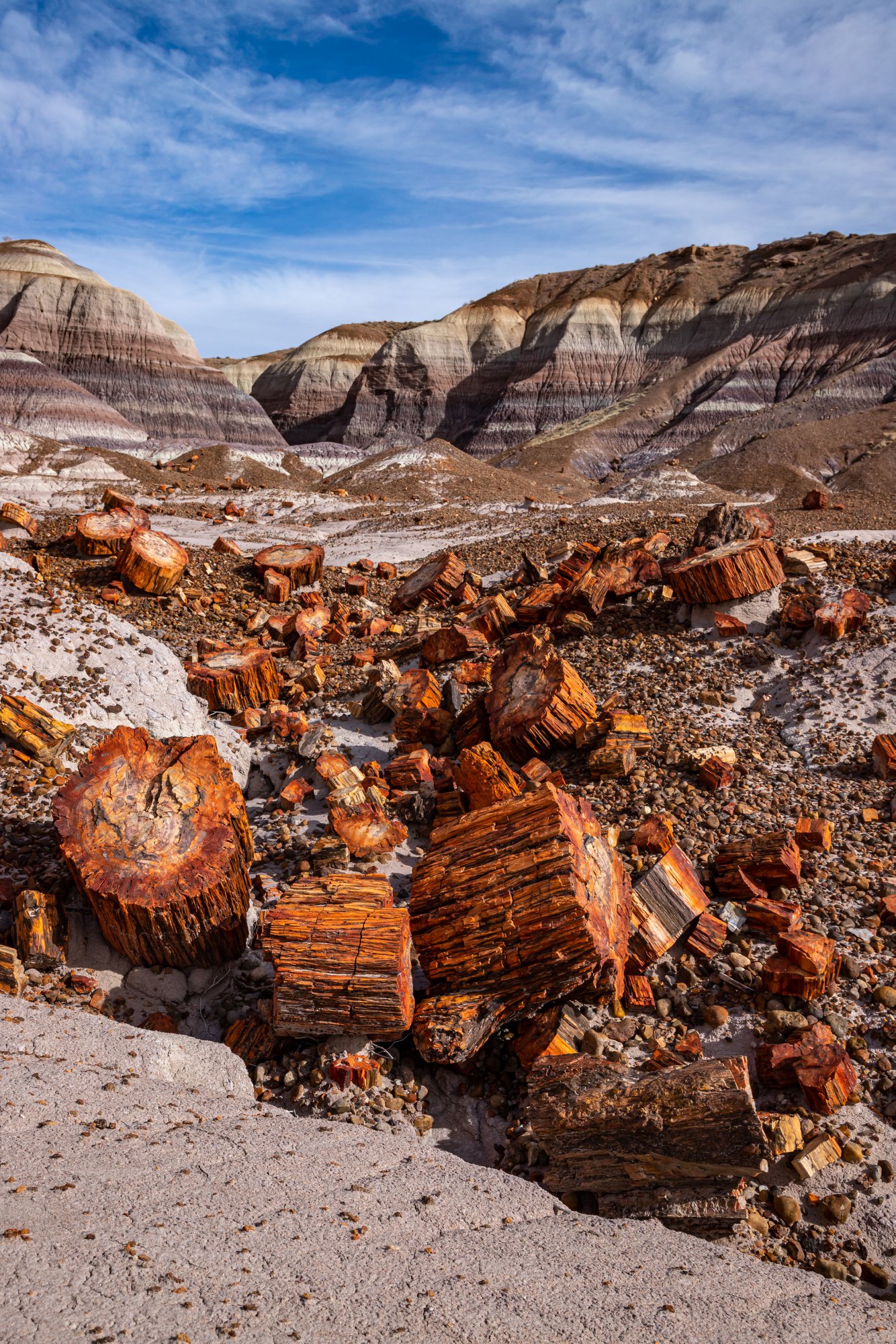 A pile of logs in the desert with a blue sky, National Parks near Phoenix