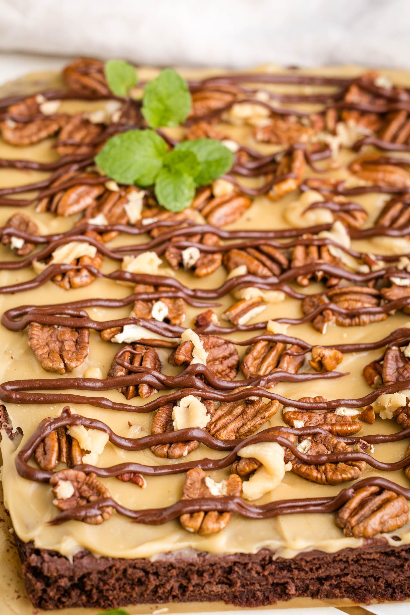 A chocolate praline brownie with pecans and mint on top.