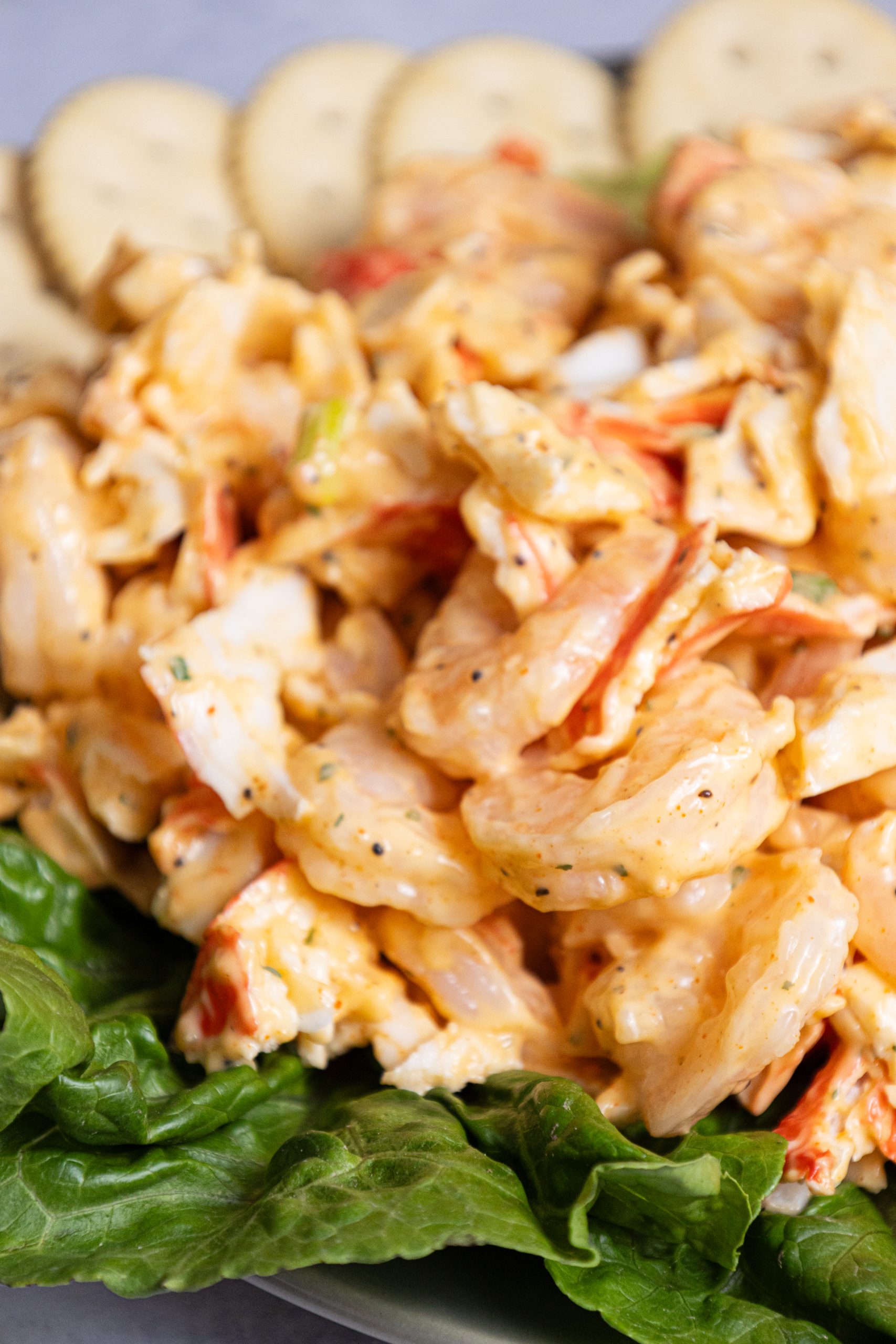 Shrimp salad on a plate with crackers.