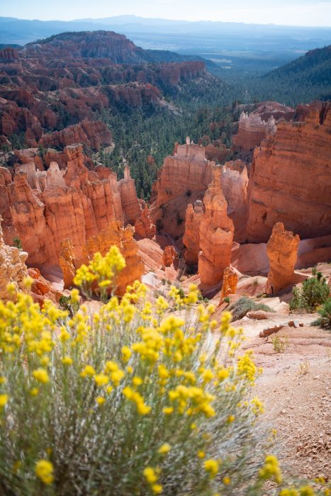 Bryce Canyon 