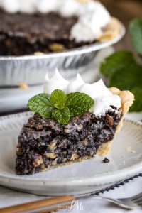 A slice of Chocolate Sawdust Pie with whipped cream and mint leaves.