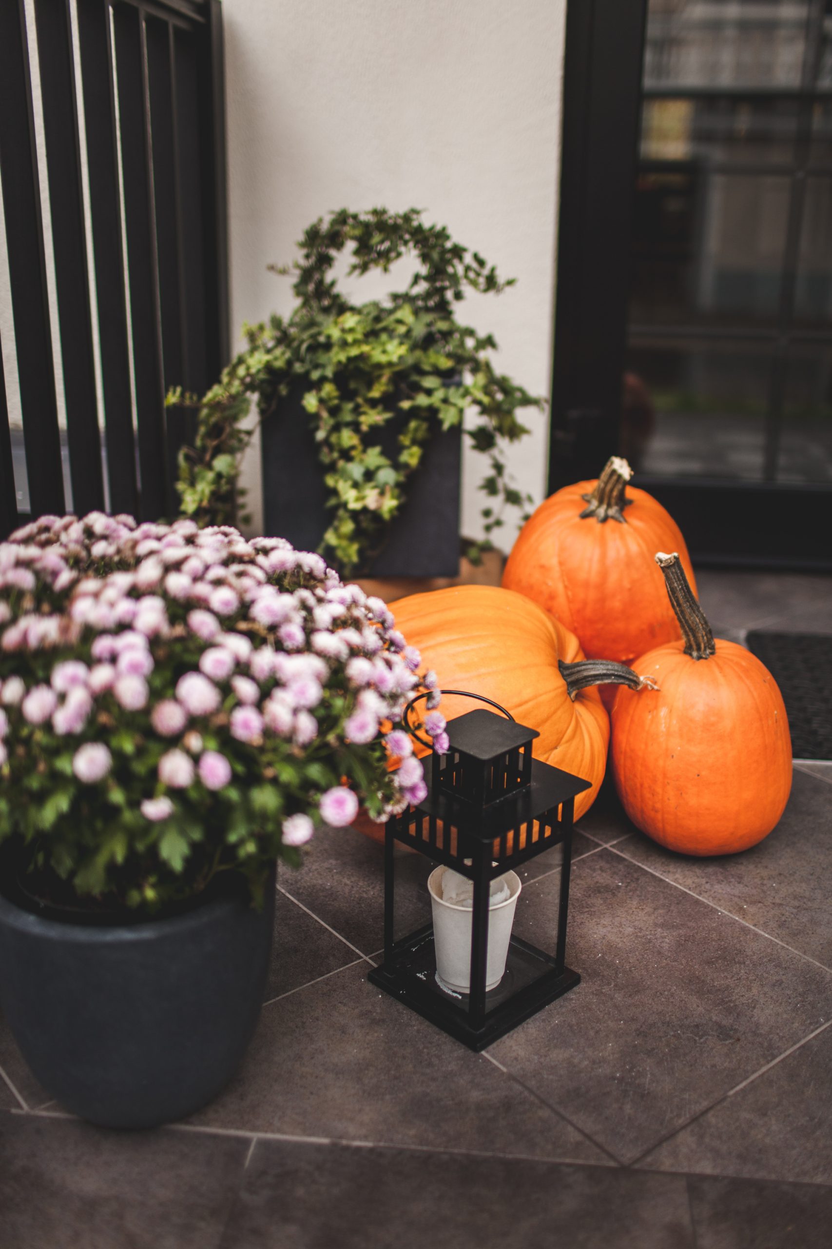 A porch with pumpkins, flowers, and a lantern.