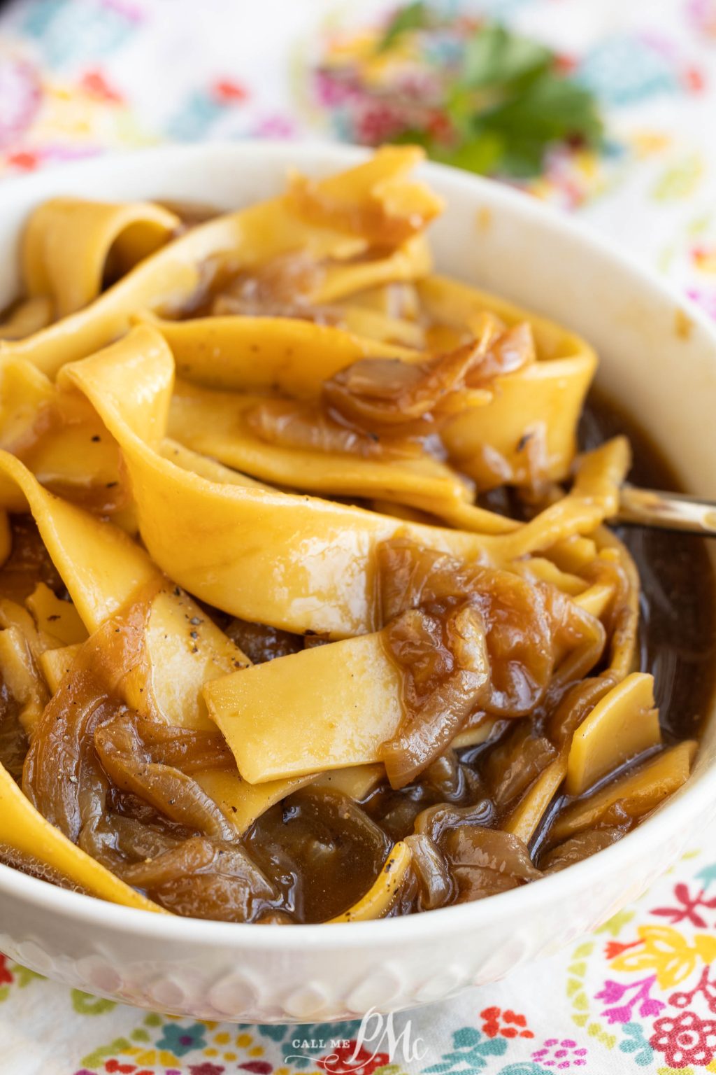 French Onion Noodle Soup