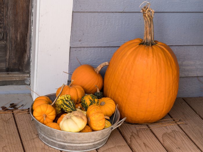A bucket of pumpkins on a porch.
