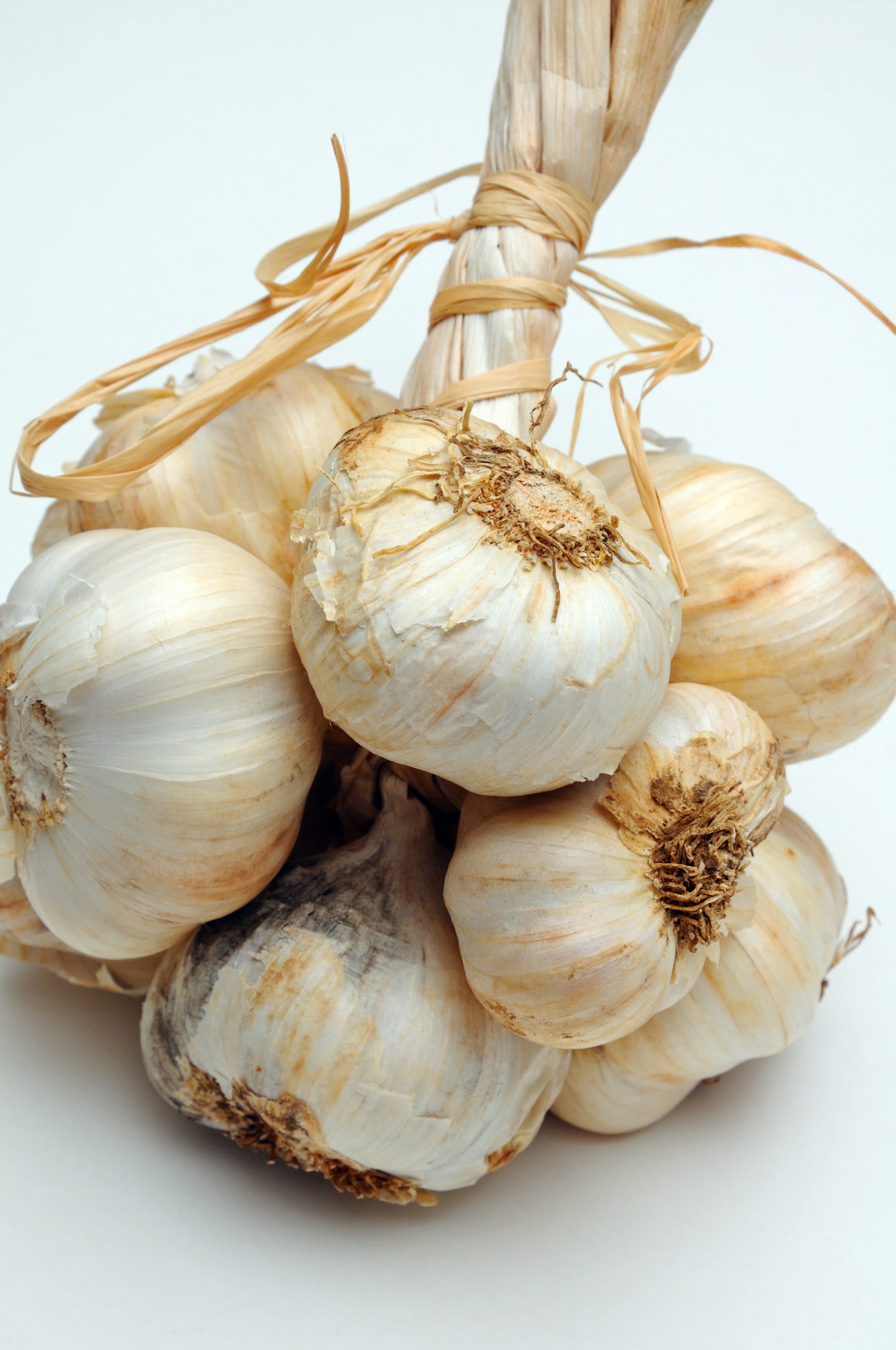 A bunch of garlic on a white background.