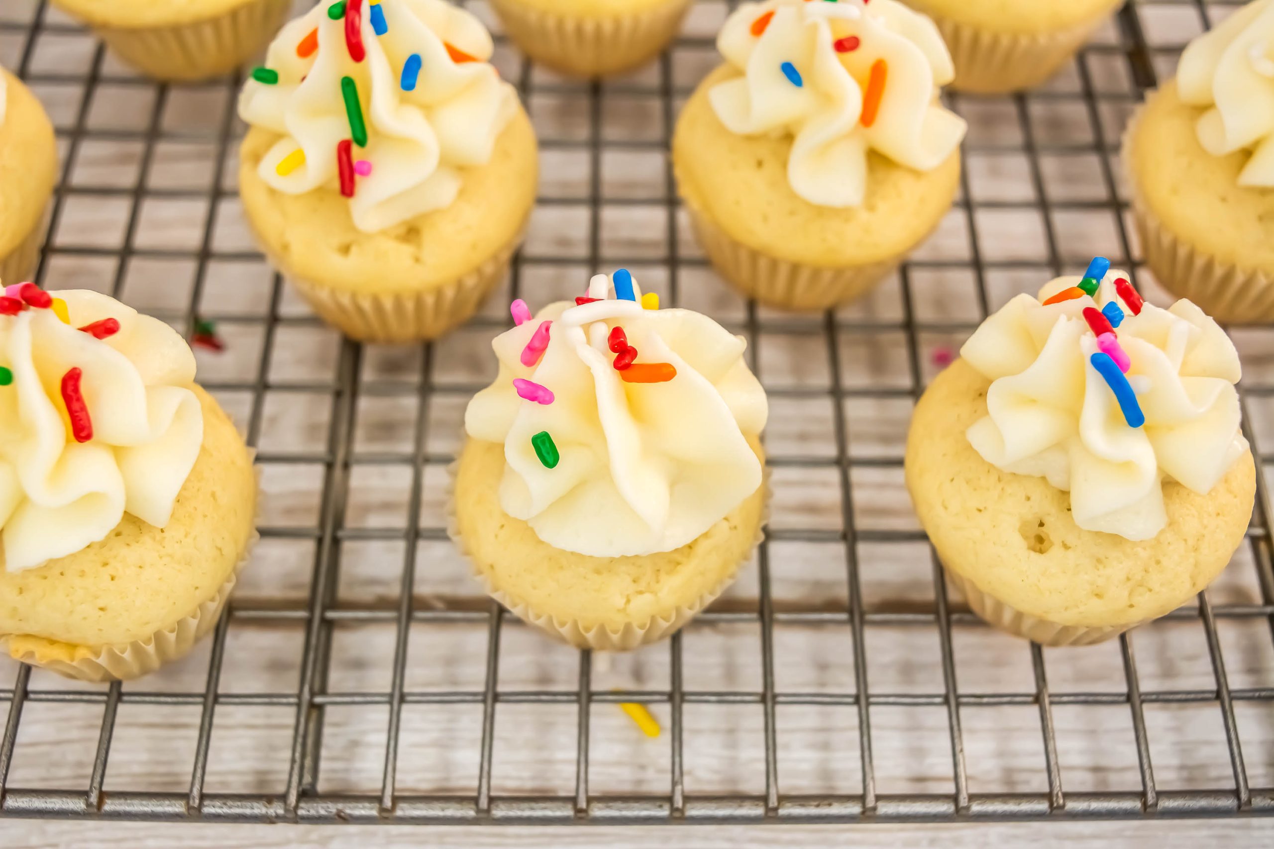 A group of Classic Vanilla Cupcake with sprinkles on top.