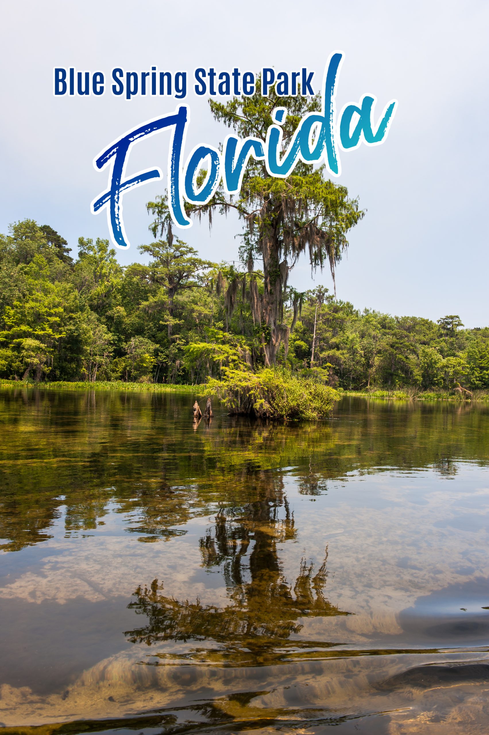 Blue Spring State Park is a picturesque park located in Florida.