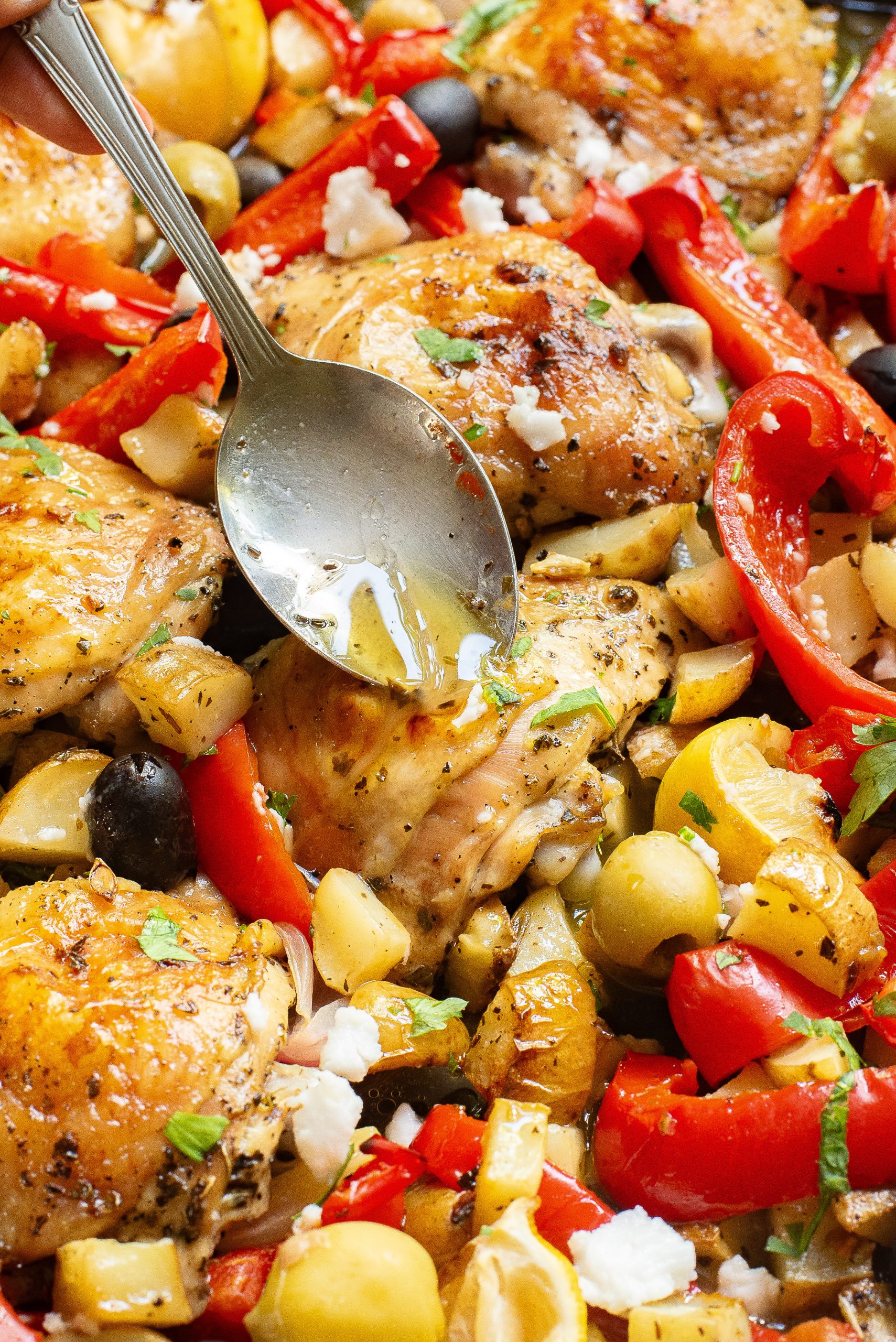 Drizzling sauce over a colorful mediterranean-style chicken and vegetable dish.