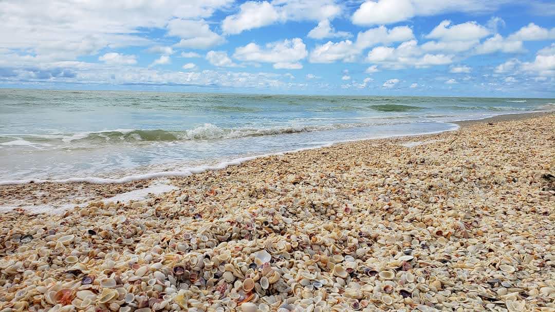 A beach covered with seashells stretches along the shoreline under a partly cloudy sky, with gentle waves rolling in.
