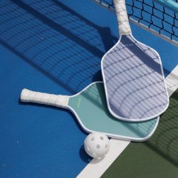 Two pickleball paddles and a perforated ball from Paula's Picks rest on a blue and green court near the net and white boundary line.
