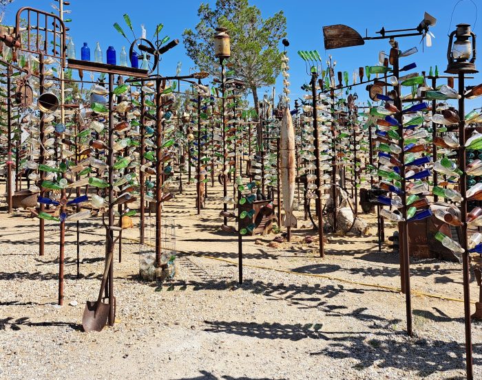 Rows of metal poles with glass bottles and various objects attached, resembling trees, stand on sandy ground under a clear blue sky.