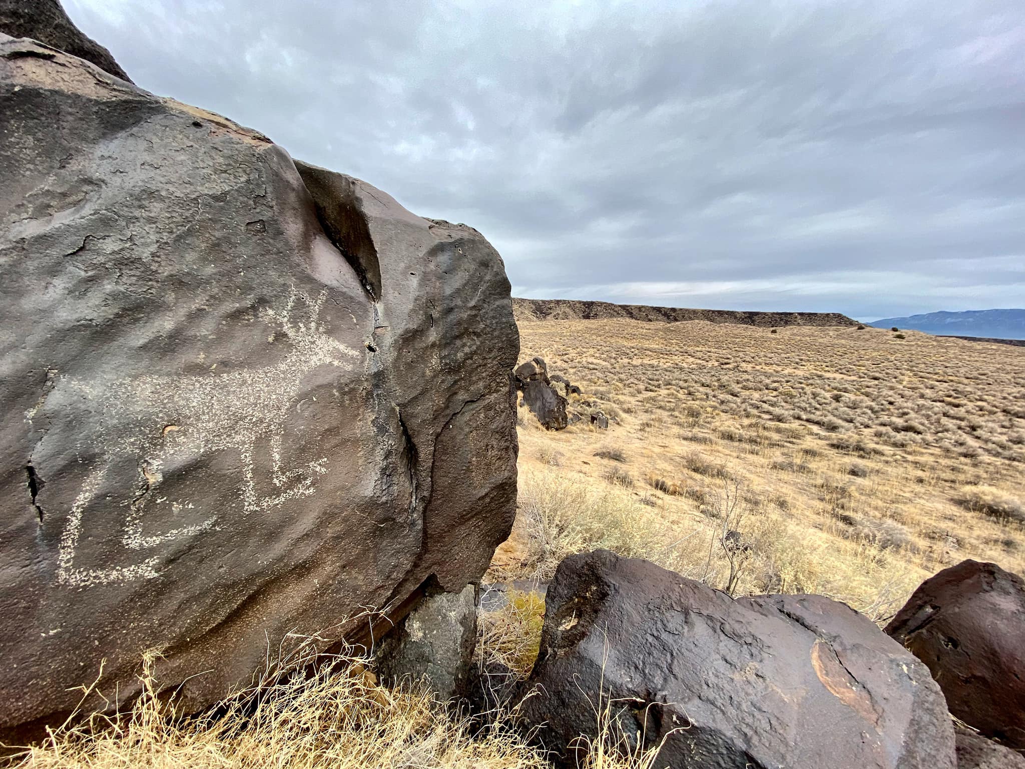 Large boulder in a dry, grassy landscape features a petroglyph of an animal carved into its surface under a cloudy sky.